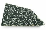 Free-Standing Polished Chinese Writing Rock - Australia #353690-1
